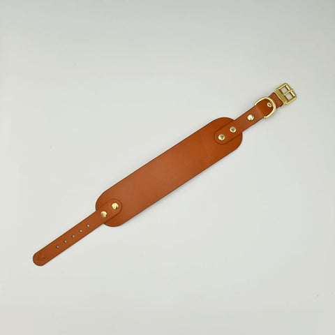 Brown leather strap with gold buckle on a light background