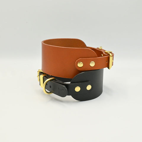 Brown and black leather collar with gold hardware on a light background