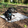 Water Resistant Roll Up Travel Pet Bed, Khaki Green - Sparkly Tails