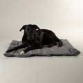 Water Resistant Roll Up Travel Pet Bed, Khaki Green - Sparkly Tails