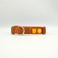 An orange woven dog collar with a silver metal D-ring, featuring a yellow shield-shaped patch and a circular yellow logo on the back, set against a plain light Grey background.