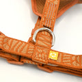 Close-up of an orange woven pet harness with a silver metal D-ring, plastic buckles, and a small yellow brand tag on a white background.