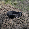 Wildbarc Black Dog Collar - Sparkly Tails