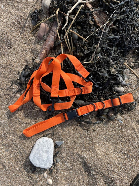 Wildbarc Orange Handsfree Dog Lead, Made From Ocean Waste - Sparkly Tails