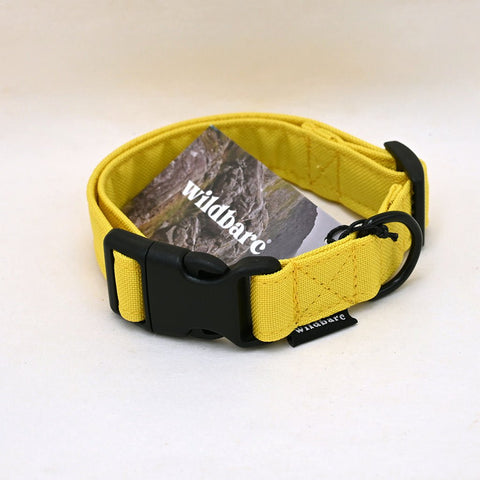 Wildbarc Yellow Dog Collar - Sparkly Tails