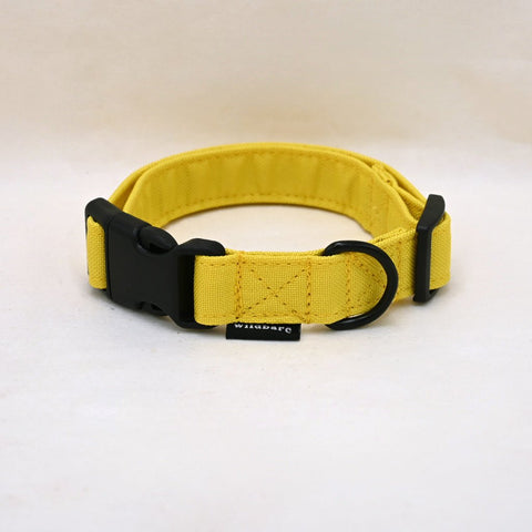 Wildbarc Yellow Dog Collar - Sparkly Tails