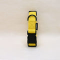 Wildbarc Yellow Dog Collar - Sparkly Tails