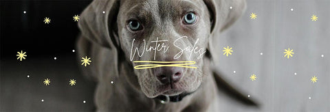 Winter Sales Desktop