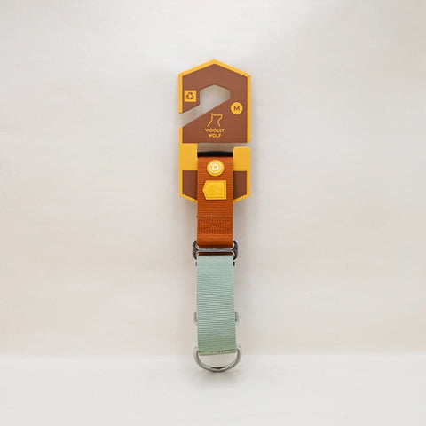 Color Block Martingale Collar Terracotta Mix Front View with Woolly Wolf Label