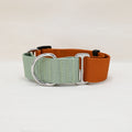 Woolly Wolf Color Block Martingale Collar Terracotta Mix Front View