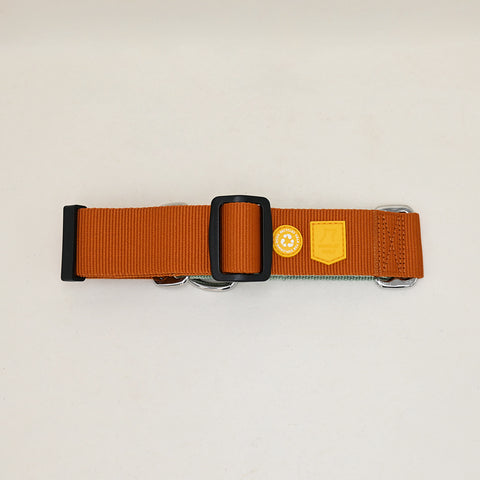 Color Block Martingale Collar Terracotta Mix Back View