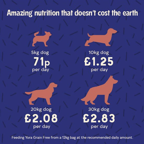 Dog food cost comparison chart on a blue background with dog illustrations.