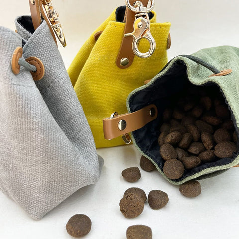 Dog Treat Pouch Made With Recyclable Canvas - Sparkly Tails