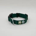 Evergreen Dog Collar - Sparkly Tails