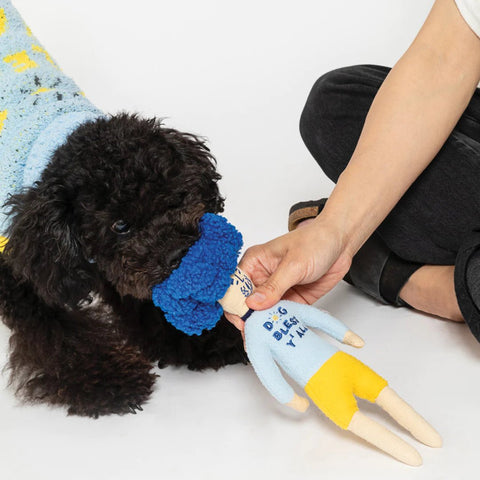 Interactive Dog Toy Dog Bless Y'All Hooman NoseWork - Sparkly Tails
