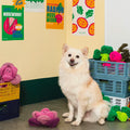 Red Cabbage Interactive Dog Toy - Sparkly Tails