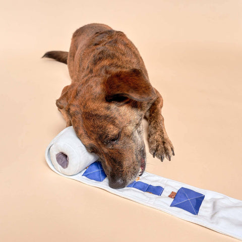 Interactive dog toy, Toilet Paper Nosework - Sparkly Tails