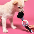 Interactive Toy, Zombie NoseWork - Sparkly Tails
