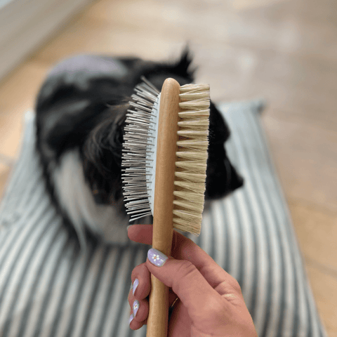 Plastic Free Double sided brush for dogs with long and medium hair - Sparkly Tails