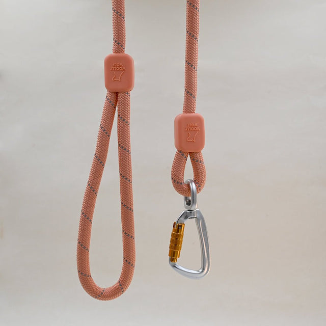 Tail Rope Lead Rope Dog Lead Made From Recycled Bottles, Salmon Pink, 180 cm – Sparkly ...