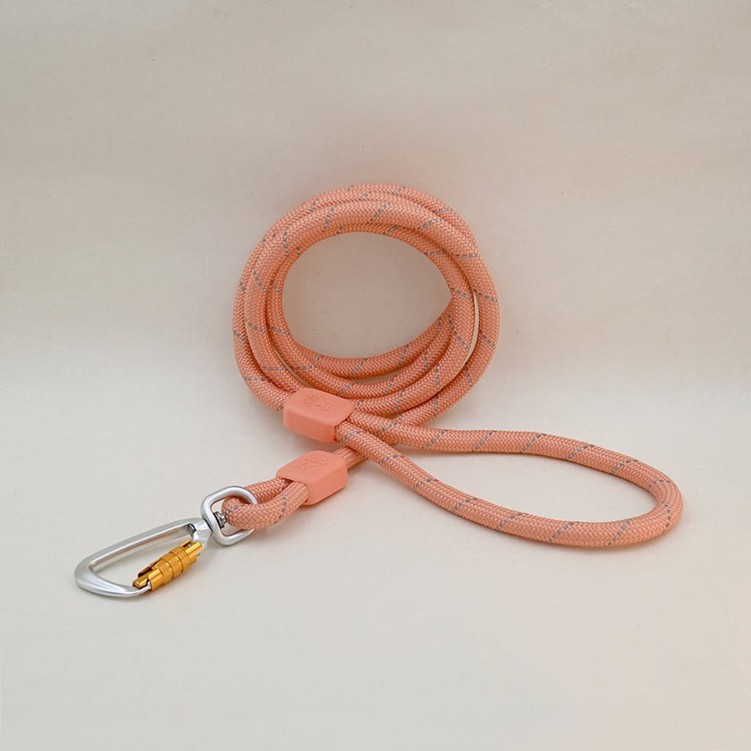 Rope Dog Lead Made From Recycled Bottles, Salmon Pink, 180 cm – Sparkly ...