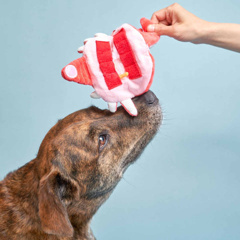 Uncle Crab Nosework Toy - Sparkly Tails