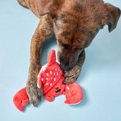 Uncle Crab Nosework Toy - Sparkly Tails